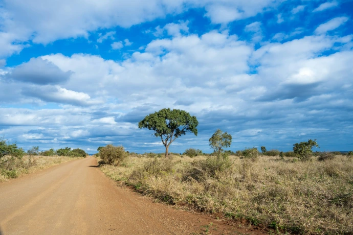 A car driving down a dirt road in the middle of a field